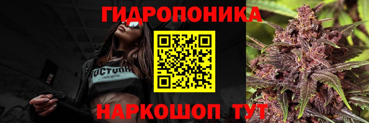 Бошки марихуана Amnesia Алапаевск